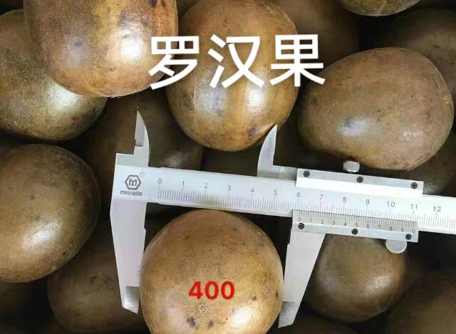 羅漢果